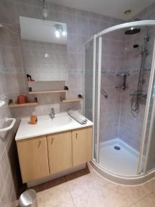 een badkamer met een wastafel en een douche bij AIR PAIX LE MONT in Herpelmont
