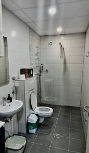 een badkamer met een toilet, een wastafel en een douche bij LYNX Apartments in Ohrid