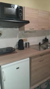 Kuchyň nebo kuchyňský kout v ubytování Guest House Vila Frýdštejn