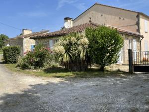 a house with a palm tree in front of a driveway at Le Grand Gîte in Pellegrue