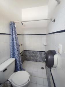 a bathroom with a toilet and a shower at Hotel Rath in Campeche