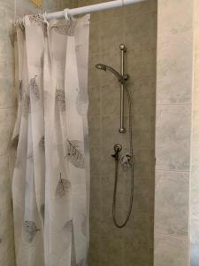 a shower with a shower curtain in a bathroom at Adults only Beachhouse Pineto zona Corfu in Pineto +42 photos