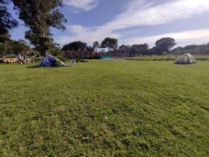 a field with two tents in the grass at KIYA surf parador in Colonia Chapadmalal