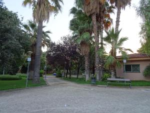 un parque con palmeras y un banco frente a un edificio en PISO CON VISTAS en Burjasot