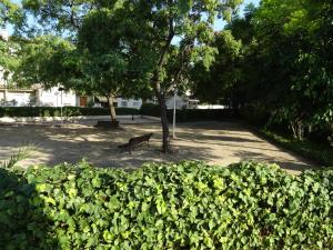 un chat se promenant dans un parc derrière une haie dans l'établissement PISO CON VISTAS, à Burjasot