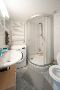 La salle de bains est pourvue d'un lavabo, de toilettes et d'une douche. dans l'établissement Opletal Apartment, à Prague