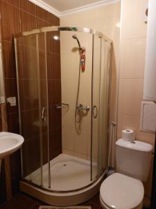 a bathroom with a shower with a toilet and a sink at Вилла Астория 3 in Elenite