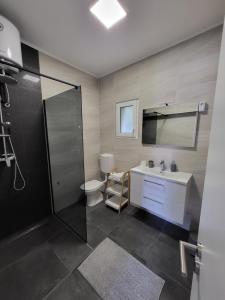 a bathroom with a shower and a sink and a toilet at Apartments Vukovic in Selce