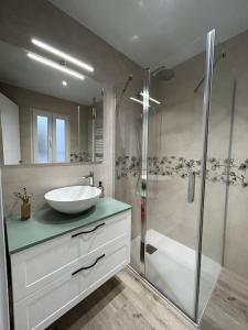 a bathroom with a sink and a shower at ACENI in Ciudad Real