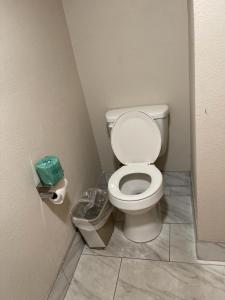 a bathroom with a toilet and a trash can at Bear Mount Inn & Suites in Pigeon Forge
