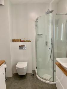 a bathroom with a shower and a toilet and a sink at REMAR - Apartamentai prie Necko Ežero in Augustów