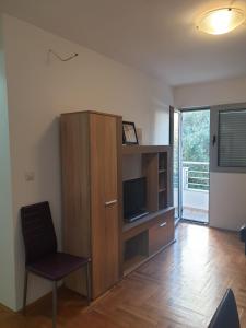 Televízia a/alebo spoločenská miestnosť v ubytovaní Apartment Rozino
