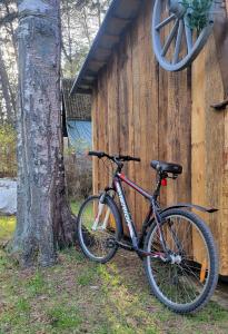 Ποδηλασία στο Eco apartment in Jurmala ή στη γύρω περιοχή
