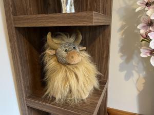 a stuffed animal with a beard in a wooden cabinet at La Scala Inverness City Apartment in Inverness