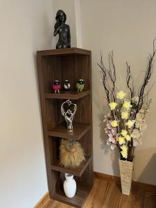 a book shelf with a cat and flowers in a room at La Scala Inverness City Apartment in Inverness