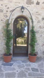 two plants in pots in front of a window at Agriturismo La valle del Monte Aquilaia in Arcidosso