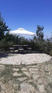 een picknicktafel en twee banken onder een paraplu bij Agriturismo La valle del Monte Aquilaia in Arcidosso