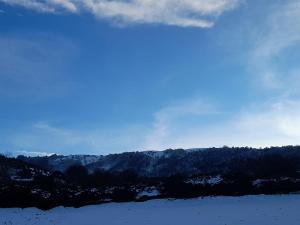 een uitzicht op een met sneeuw bedekte berg met bomen bij Agriturismo La valle del Monte Aquilaia in Arcidosso