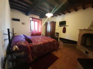 een slaapkamer met een bed en een open haard bij Agriturismo La valle del Monte Aquilaia in Arcidosso