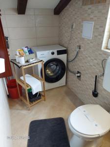 a washing machine in a bathroom with a toilet at Apartments Maričić Rab Island in Rab
