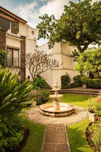 Posada del Tepozteco - Hotel & Gallery外面的花园
