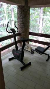 a gym with two exercise bikes next to a window at Casa nel bosco alle Macinaie in Monte Amiata +29 photos