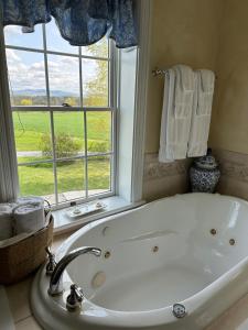 的住宿－Maple Shade Bed & Breakfast，带浴缸的浴室和窗户