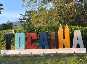O grădină în afara Kalathea Casa