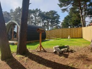 a backyard with a shed and a tree at Brora Pods in Brora