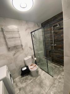 La salle de bains est pourvue de toilettes et d'une douche en verre. dans l'établissement ZOSIA, à Liwa