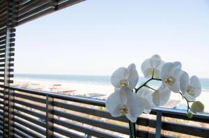 un vaso di fiori seduto su un balcone con la spiaggia di Kiss Beachfront Hotel & Restaurant a Cervia