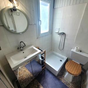 La salle de bains est pourvue d'un lavabo, de toilettes et d'un miroir. dans l'établissement Chez Odette, à Grenoble