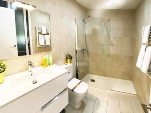 La salle de bains est pourvue d'une douche, de toilettes et d'un lavabo. dans l'établissement Apartamento de Diseño en Plaza Mayor, à Madrid