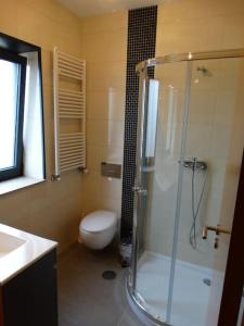 a bathroom with a shower and a toilet and a sink at Casa Malagueira in Fafião +26 photos