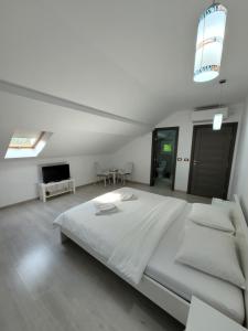 - une chambre blanche avec un grand lit et une télévision dans l'établissement Casa Patryk, à Orşova