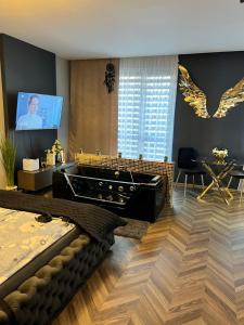 TV a/nebo společenská místnost v ubytování Apartament Pod Skrzydłami Aniola