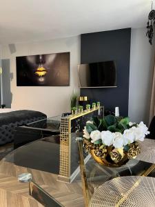 TV a/nebo společenská místnost v ubytování Apartament Pod Skrzydłami Aniola