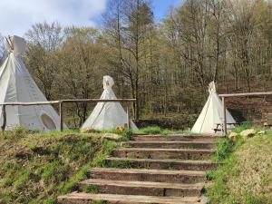 a bride and groom standing on a staircase with tents at Glamping Wild Nature Bałtów in Bałtów