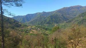 Paesaggio naturale nelle vicinanze di questo campeggio di lusso