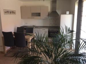 Η κουζίνα ή μικρή κουζίνα στο Ferienwohnung Bodenseezauber