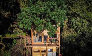 Zahrada ubytování Palu Ecoaldea, Cabañas glamping en medio del bosque