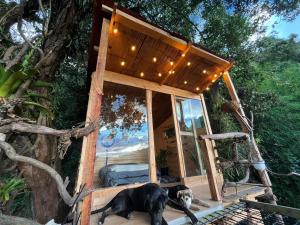 Zahrada ubytování Palu Ecoaldea, Cabañas glamping en medio del bosque