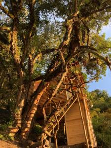 Fotografie z fotogalerie ubytování Palu Ecoaldea, Cabañas glamping en medio del bosque v destinaci Tenjo