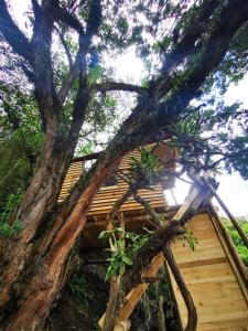 Fotografie z fotogalerie ubytování Palu Ecoaldea, Cabañas glamping en medio del bosque v destinaci Tenjo