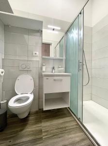 ein Bad mit einem WC, einem Waschbecken und einer Dusche in der Unterkunft Nala Apartment in Ljubljana
