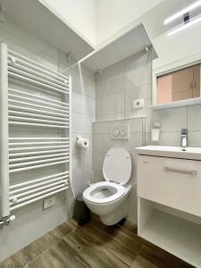 ein weißes Bad mit einem WC und einem Waschbecken in der Unterkunft Nala Apartment in Ljubljana