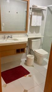 a bathroom with a sink and a toilet and a mirror at Araucária Flat in Ribeirão Preto