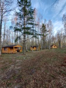 Fotografie z fotogalerie ubytování Kempings Mežvēji v destinaci Jaunciems