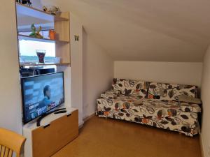 Camera piccola con letto e TV a schermo piatto. di Apartma Katy a Umag (Umago)