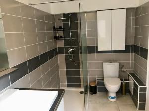 łazienka z prysznicem, toaletą i umywalką w obiekcie Gîte plain-Pied avec jardin du Centre Alsace w mieście Ebersheim